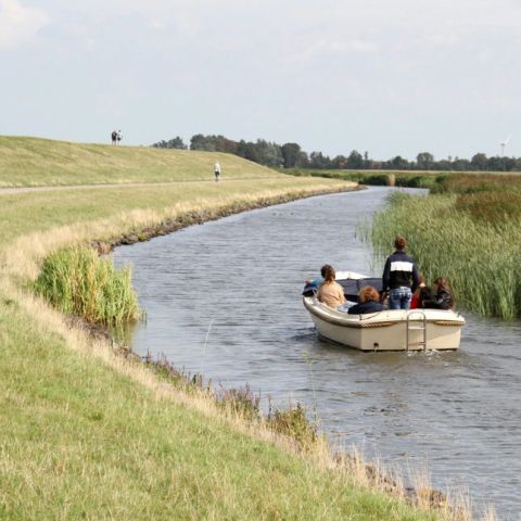Summio Vakantiepark It Wiid - Camping Tietjerksteradeel - Afbeelding N°4