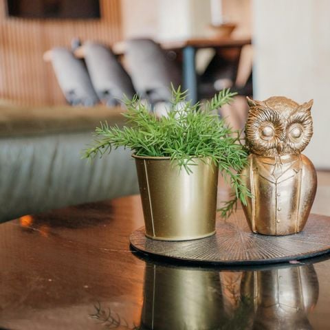 Bungalow 8 personen - Grijze Veen