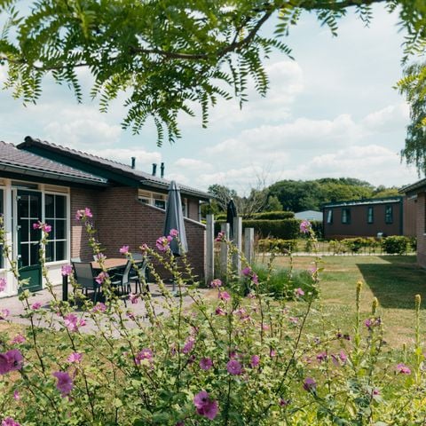 Bungalow 4 personen - Heuveltjes