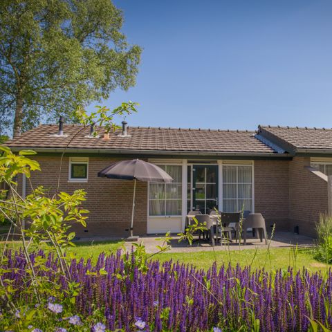 Bungalow 10 personen - Bunckman Luxe 