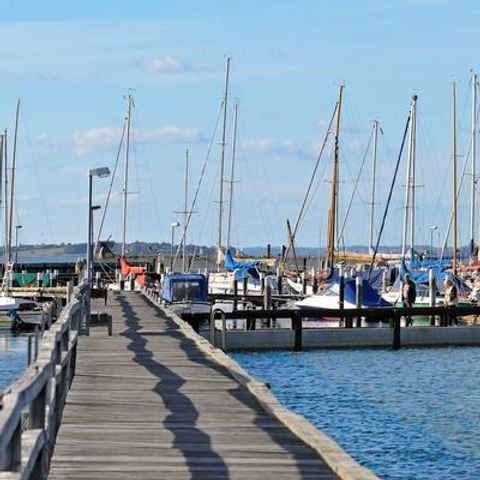 DanCenter Ferienpark Geltinger Bucht - Ostsee - Camping Sleeswijk-Holstein - Afbeelding N°3