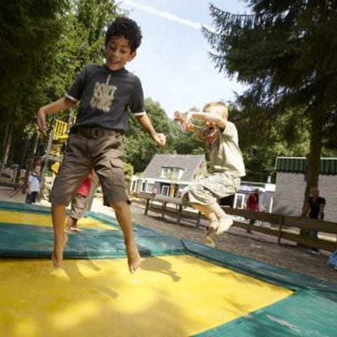 Vakantiepark De Bosrand - Camping Epe - Afbeelding N°4