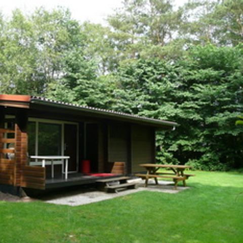 Vakantieoord De Bronzen Emmer - Camping Coevorden - Afbeelding N°3