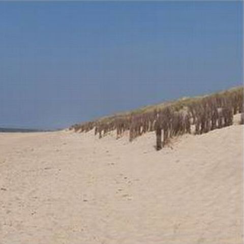 Park Merlo - Camping West-Vlaanderen - Afbeelding N°6