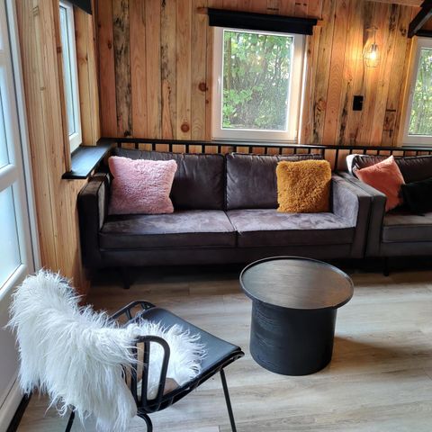 Tiny House 16 personen - Groepsverblijf blokhut + 4 vierpersoons tiny houses (16 personen)