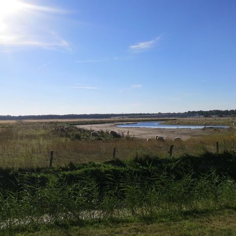 VAKANTIEHUIS 6 personen - Visserhuisje