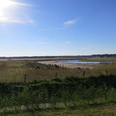 VAKANTIEHUIS 6 personen - Visserhuisje