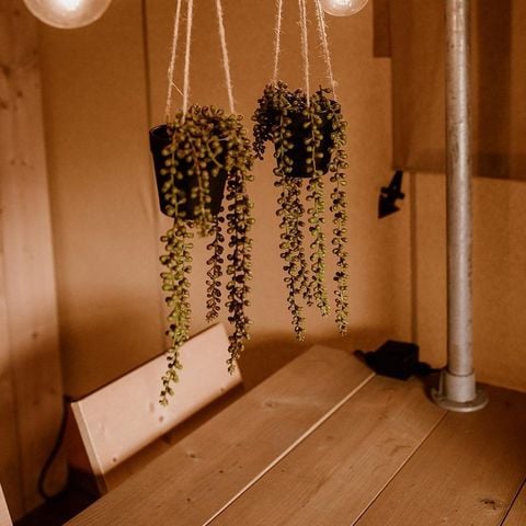 Tent 5 personen - glamping met airco