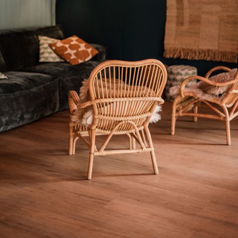 Groepsaccommodatie 24 personen - Groepsverblijf Strandhuis + 4 vakantiewoningen (24 personen)