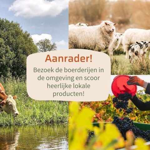 Lodge 4 personen - Lodge Oak