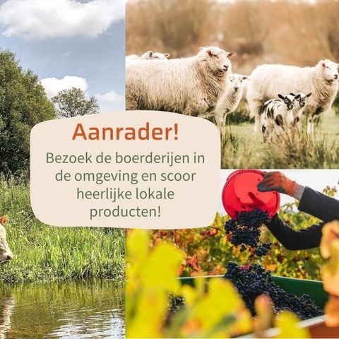 Chalet 4 personen - Tiny Cabin met hottub