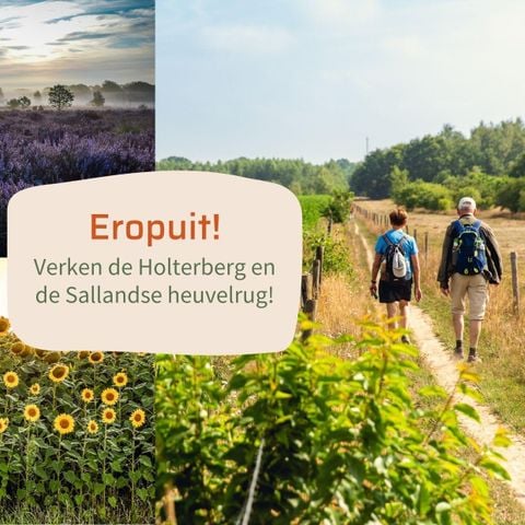 Lodge 4 personen - Lodge Oak met twee ensuite badkamers