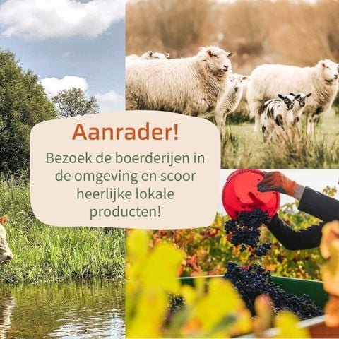 Lodge 2 personen - Lodge Wellness jacuzzi, sauna en sunshower