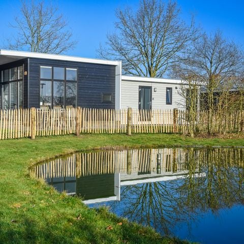 Lodge 4 personen - Forest lodge with enclosed garden | 4 personen