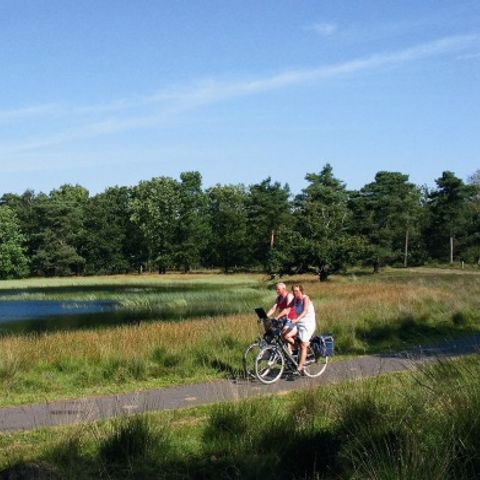 Buitenplaats Holten - Camping Rijssen-Holten - Afbeelding N°5