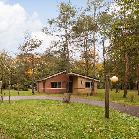 Summio Parc De Berkenhorst - Camping Barneveld - Afbeelding N°2