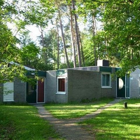 Bungalow 4 personen - Comfort 4E