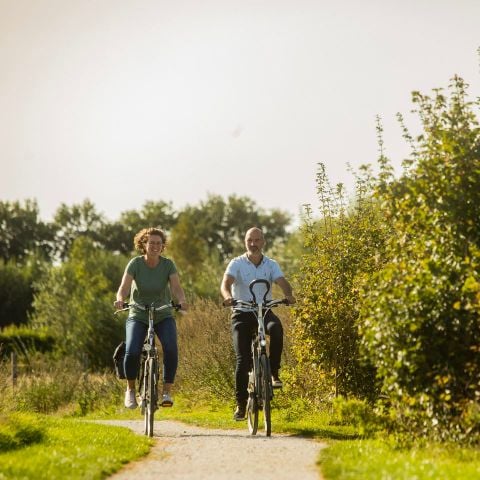 Landal Orveltermarke - Camping Midden-Drenthe - Afbeelding N°3