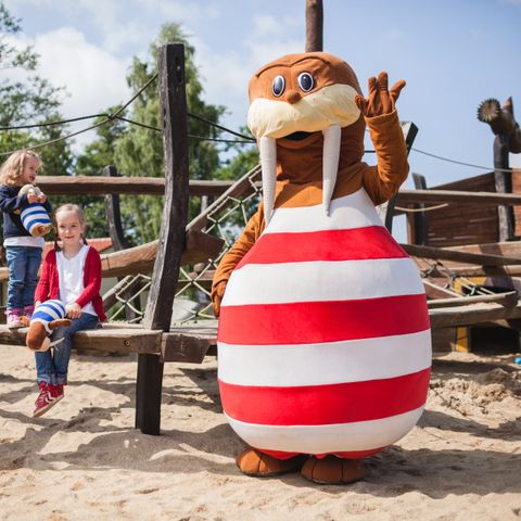 Trixi Ferienpark Zittauer Gebirge - Camping Saksen - Afbeelding N°3