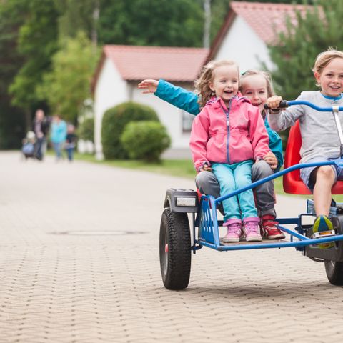 Trixi Ferienpark Zittauer Gebirge - Saksen - Afbeelding N°4