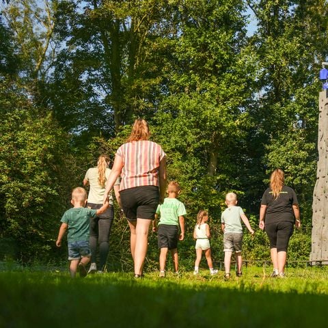 Landal Hunzepark - Aa en Hunze - Afbeelding N°5