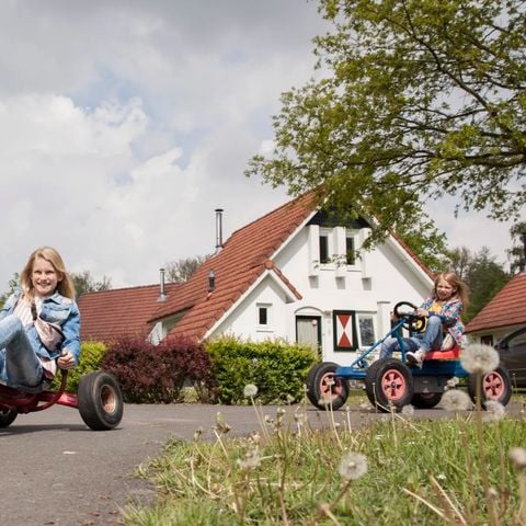 Landal Landgoed Aerwinkel - Camping Roerdalen - Afbeelding N°3