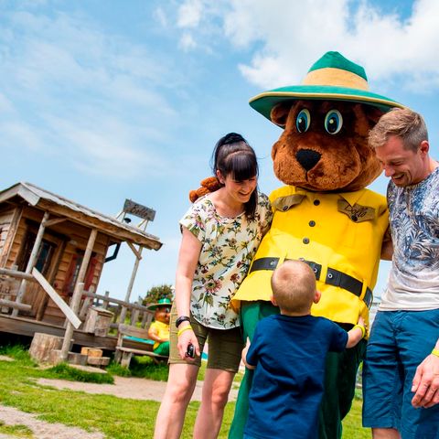 Landal Landgoed Aerwinkel - Camping Roerdalen - Afbeelding N°4