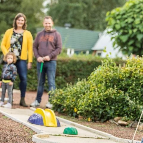 Landal Hunerwold State - Camping Westerveld - Afbeelding N°3