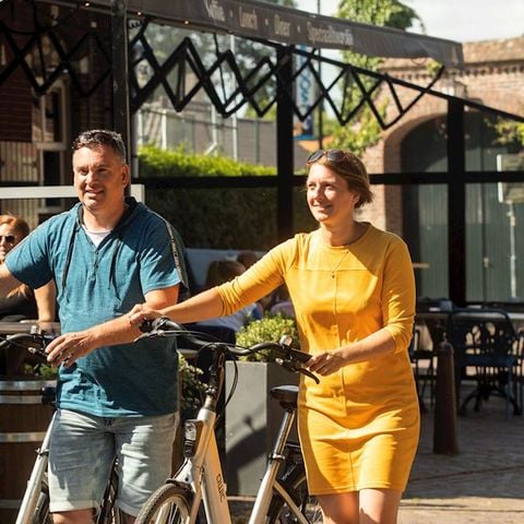 Landal Hunerwold State - Westerveld - Afbeelding N°3