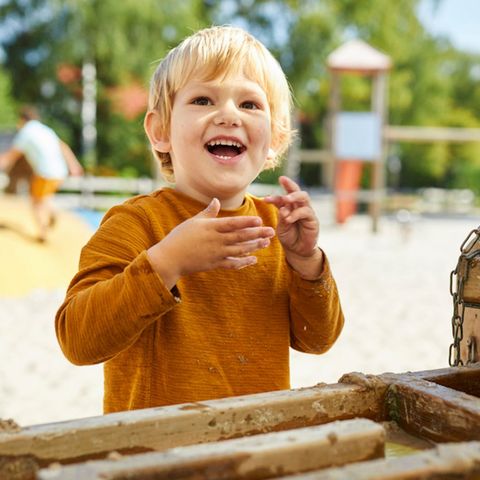 Landal De Vlegge - Camping Hardenberg - Afbeelding N°3
