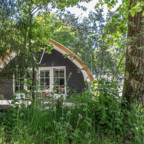 Residence De Eese - Camping Steenwijkerland - Afbeelding N°2