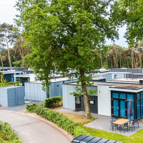 EuroParcs Maasduinen - Camping Venlo - Afbeelding N°2