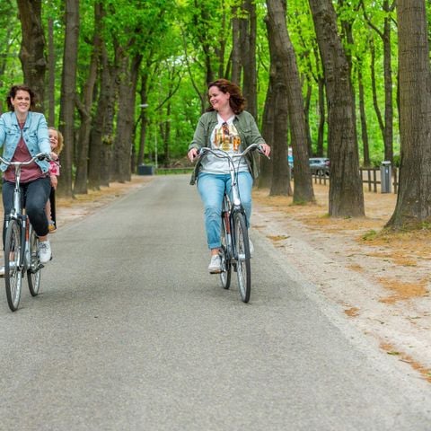 VAKANTIEHUIS 6 personen - Beekvilla