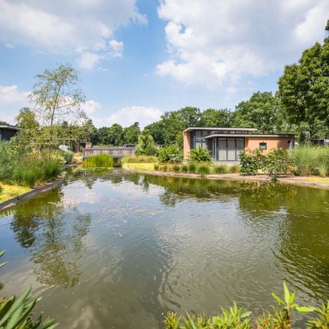 TopParken Landgoed de Scheleberg - Camping Ede - Afbeelding N°3