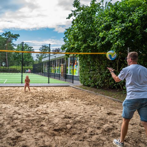TopParken Recreatiepark 't Gelloo - Camping Ede - Afbeelding N°4