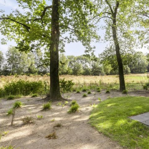 Chalet 4 personen - Module Wood