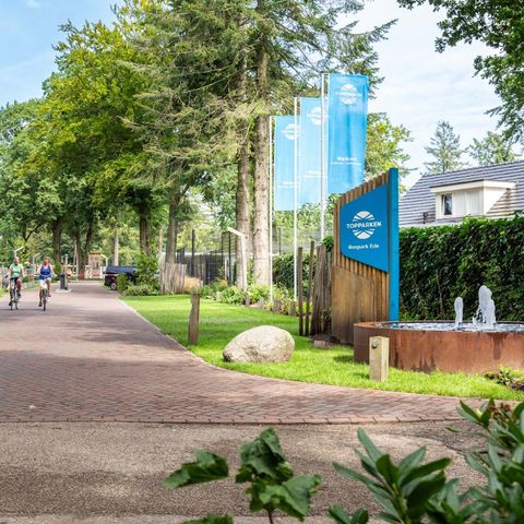 TopParken Bospark Ede - Camping Ede - Afbeelding N°5