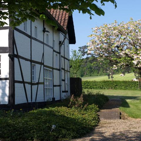 Buitenplaats De Mechelerhof - Camping Gulpen-Wittem - Afbeelding N°5