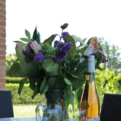 Bungalow 6 personen - Grasduin