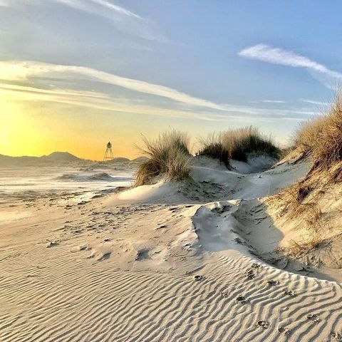 Parc Koudenburg - Camping Ameland - Afbeelding N°5