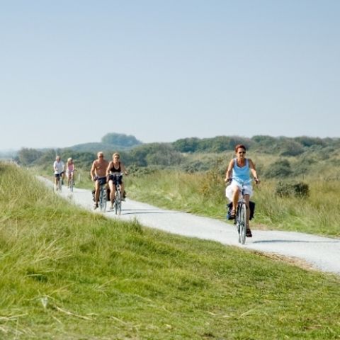 Parc Koudenburg - Camping Ameland - Afbeelding N°6