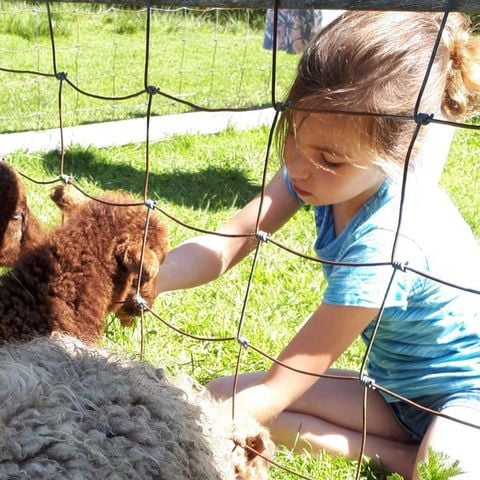 Molecaten Park Wijde Blick - Renesse - Afbeelding N°3