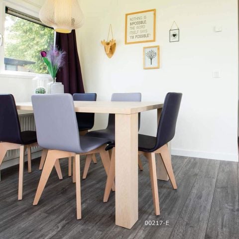 VAKANTIEHUIS 5 personen - Module