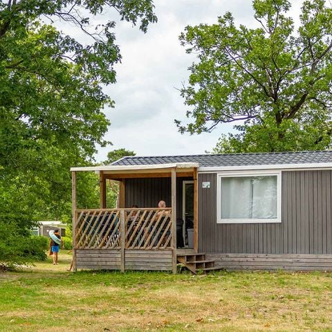 Chalet 4 personen - Koolmees