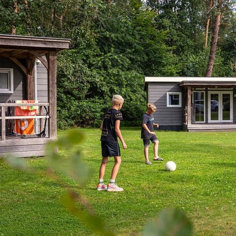 Chalet 6 personen - Anemoon