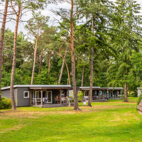 Molecaten Park De Koerberg - Camping Heerde - Afbeelding N°3