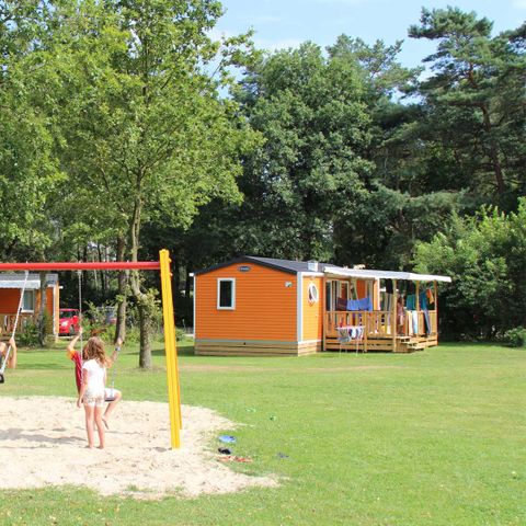 Molecaten Park De Koerberg - Camping Heerde - Afbeelding N°5