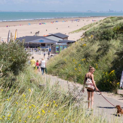 Molecaten Park Hoogduin - Cadzand - Afbeelding N°5