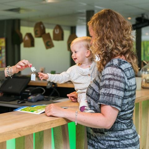Roompot Bungalowpark Hoenderloo - Camping Apeldoorn - Afbeelding N°3