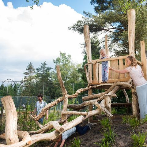 Roompot Bungalowpark Hoenderloo - Camping Apeldoorn - Afbeelding N°5
